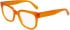 Calvin Klein Jeans CKJ24615 glasses in Brown/Havana