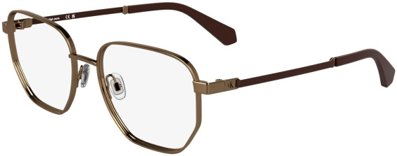 Calvin Klein Jeans CKJ25203 glasses in Amber Gold