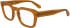 Calvin Klein Jeans CKJ25610 glasses in Brown/Havana