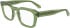 Calvin Klein Jeans CKJ25610 glasses in Green/Dark Green