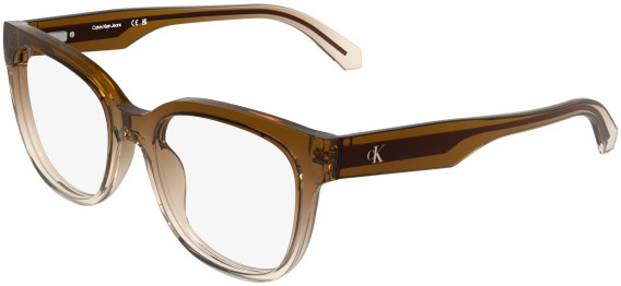 Calvin Klein Jeans CKJ25632 glasses in Transparent Gradient Brown