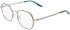 Converse CV1034 glasses in Branch Out/Silver