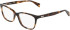 DKNY DK5097 glasses in Dark Tortoise