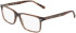 Marchon NYC M-3031 glasses in Brushed Brown Horn