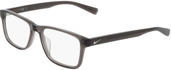 Nike NIKE 1000C glasses in Smoke
