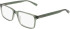 Nike NIKE 1001 glasses in Forest