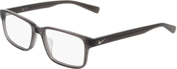 Nike NIKE 1001C glasses in Smoke
