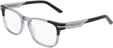 Nike NIKE 7180 glasses in Grey/Black
