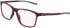 Nike NIKE 7293 glasses in Team Red/Smoke Grey