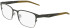 Nike NIKE 8185 glasses in Matte Sequoia/Gunmetal
