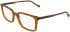 Zeiss ZS25559 glasses in Striped Brown