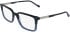 Zeiss ZS25559 glasses in Striped Blue
