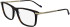 Zeiss ZS25723 glasses in Tortoise