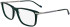 Zeiss ZS25723 glasses in Transparent Green