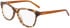 DKNY DK5077 glasses in Brown Horn