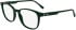 Lacoste L2975 glasses in Transparent Green