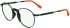 Lacoste L3114 glasses in Matte Green