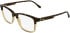 Lacoste L4002 glasses in Havana/Transparent Caramel