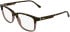 Lacoste L4002 glasses in Havana/Transparent Cognac