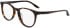 Nike NIKE 5057 glasses in Dark Tortoise