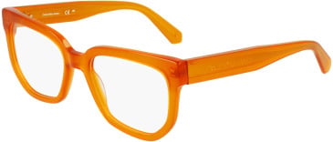 Calvin Klein Jeans CKJ24615 glasses in Brown/Havana