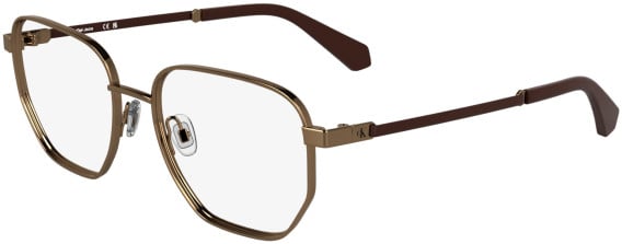 Calvin Klein Jeans CKJ25203 glasses in Amber Gold