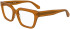 Calvin Klein Jeans CKJ25609 glasses in Brown/Havana