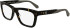 Calvin Klein Jeans CKJ25615 glasses in Dark Havana
