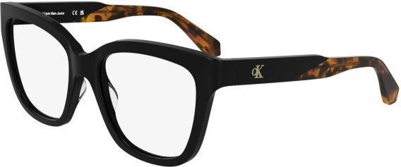Calvin Klein Jeans CKJ25616 glasses in Black