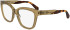 Calvin Klein Jeans CKJ25616 glasses in Brown