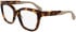 Calvin Klein Jeans CKJ25616 glasses in Havana