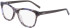 DKNY DK5077 glasses in Blue/Smoke Horn
