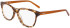 DKNY DK5077 glasses in Brown Horn