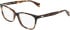 DKNY DK5097 glasses in Dark Tortoise