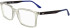 Lacoste L2992 glasses in Transparent Beige