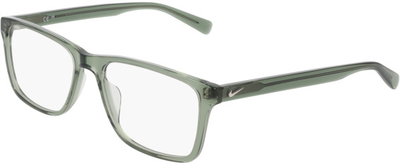 Nike NIKE 1000 glasses in Forest