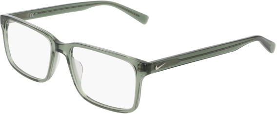 Nike NIKE 1001 glasses in Forest