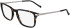 Zeiss ZS24722 glasses in Tortoise