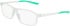 Nike 7291 glasses in Matte Light Silver/Stad Green