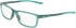 Nike 7292 glasses in Matte Vintage Green/Bicoastal