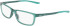 Nike 7292 glasses in Matte Vintage Green/Bicoastal