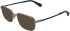 Calvin Klein Jeans CKJ25210 sunglasses in Matte Light Ruthenium