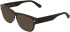 Calvin Klein Jeans CKJ25627 sunglasses in Brown