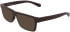 Calvin Klein Jeans CKJ25629 sunglasses in Brown