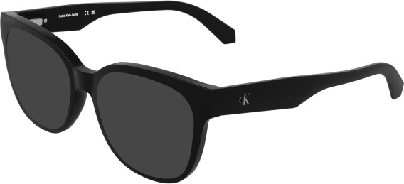 Calvin Klein Jeans CKJ25632 sunglasses in Black