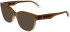 Calvin Klein Jeans CKJ25632 sunglasses in Transparent Gradient Brown