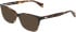 DKNY DK5097 sunglasses in Dark Tortoise