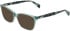 DKNY DK5097 sunglasses in Sage