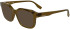 Karl Lagerfeld KL6197 sunglasses in Brown