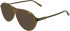Karl Lagerfeld KL6217 sunglasses in Light Brown